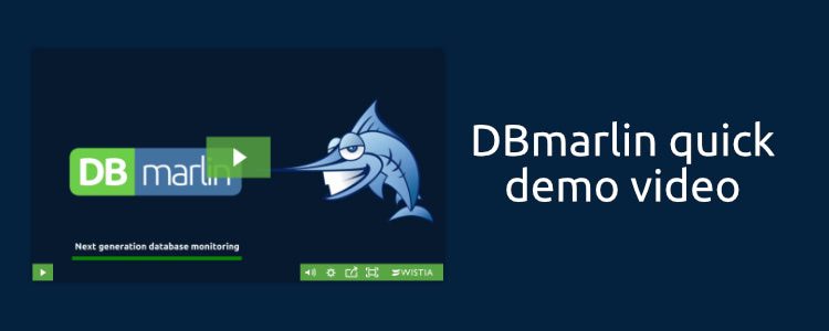 DBmarlin Video Demo