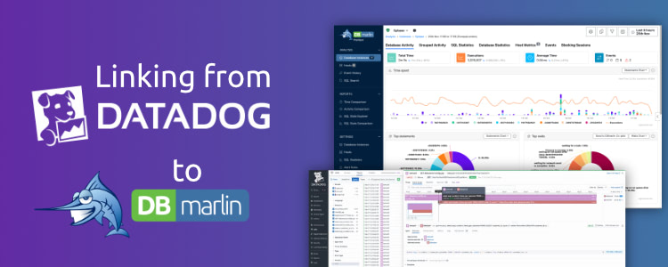 Linking from DataDog to DBmarlin