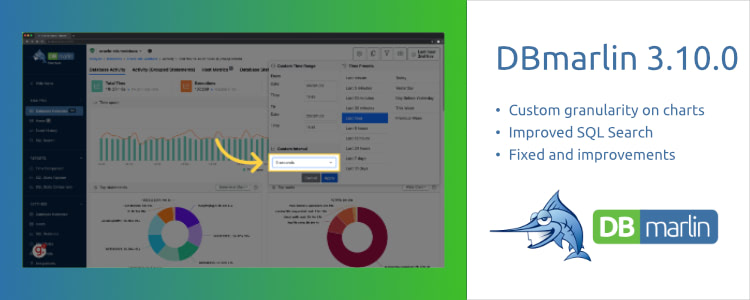 DBmarlin 3.10.0 with custom granularity and improved SQL search