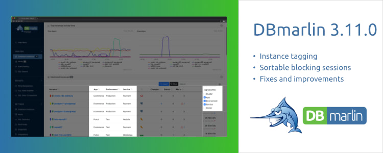 DBmarlin 3.11.0 adds instance tagging