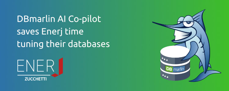 DBmarlin AI Co-pilot saves Enerj time tuning their databases