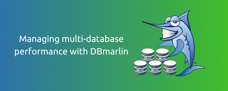 Managing multi-database performance with DBmarlin